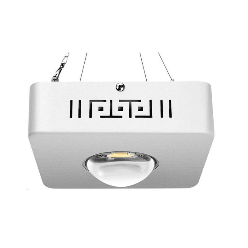 Bolton Tools Cree Cxb3590 Cob Grow Light Full Spectrum 75W