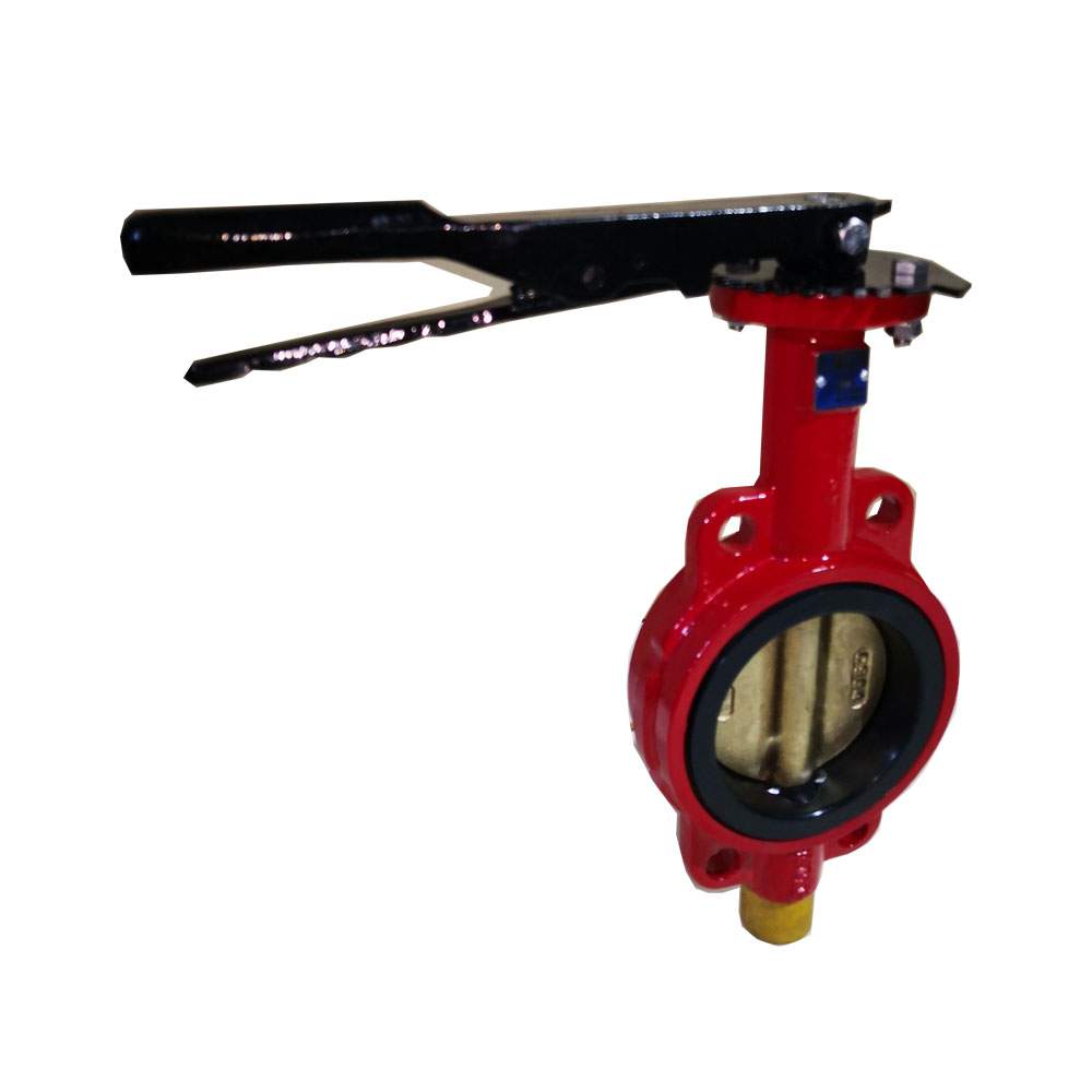 Wafer Style Butterfly Valve Ductile Iron 4