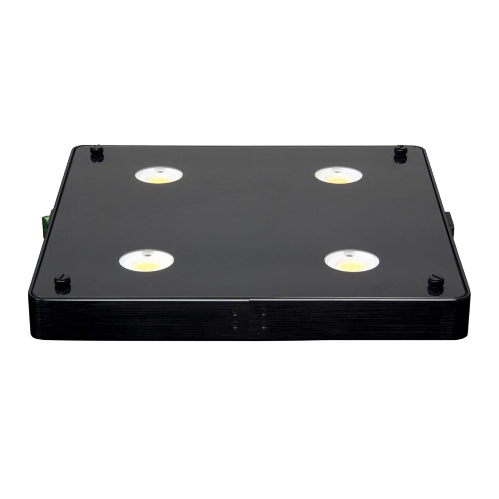 Bolton Tools 360W COB LED Grow Light Full Spectrum Grow Lamp