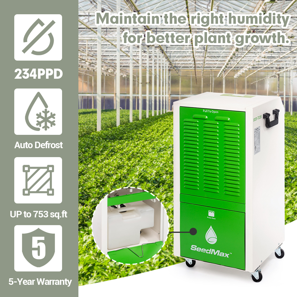 airis付DHBerry 0.5ml最高品質CBP CRDP CRDH88 Product Detail Page | Cub